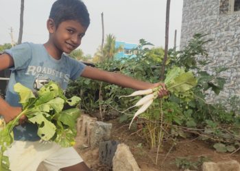 தற்சார்பு பொருளாதாரம் (புதிய தொடர்)