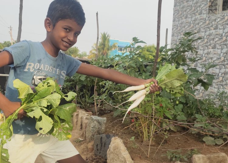 தற்சார்பு பொருளாதாரம் (புதிய தொடர்)