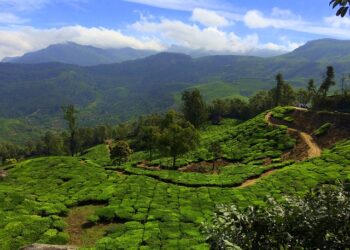 சிறுமலைக்கு வாழ்வு எப்போது?      