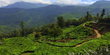 சிறுமலைக்கு வாழ்வு எப்போது?      