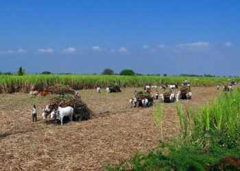 ரூ.268 கோடி முதலீடு திரட்டிய அக்ரோ ஸ்டார் நிறுவனம்