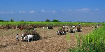 ரூ.268 கோடி முதலீடு திரட்டிய அக்ரோ ஸ்டார் நிறுவனம்